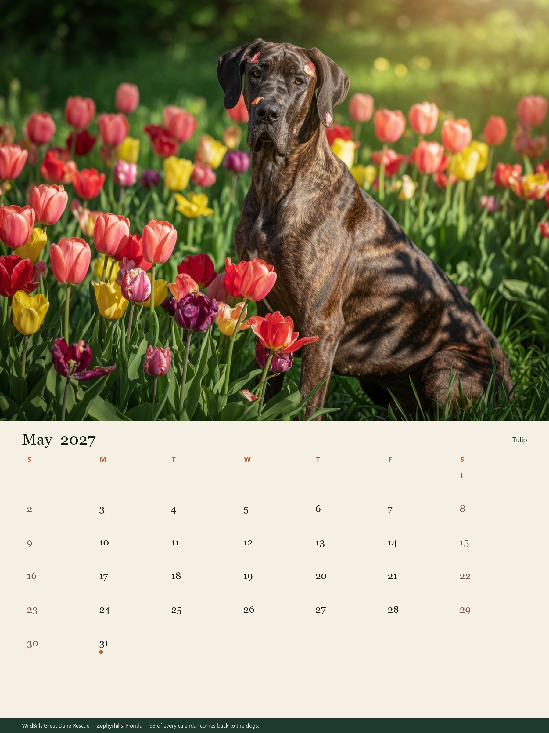 Tulip