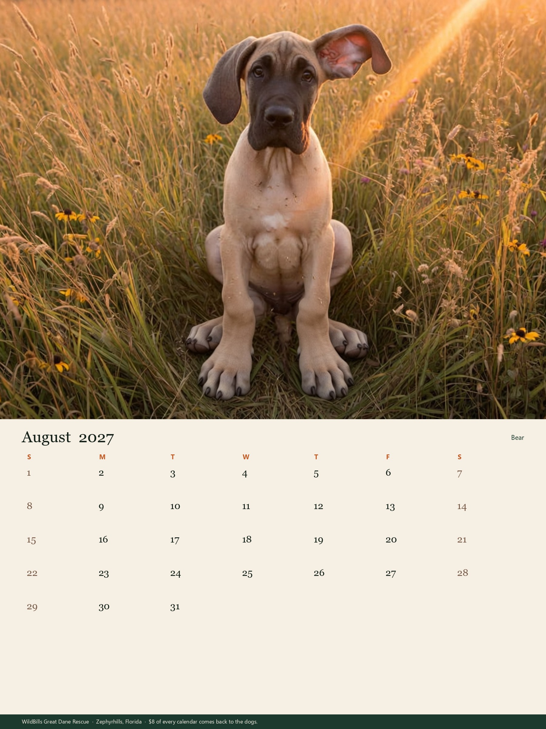 Bear